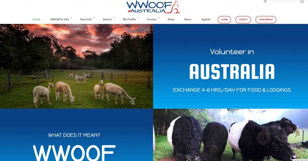 wwoof australia web design